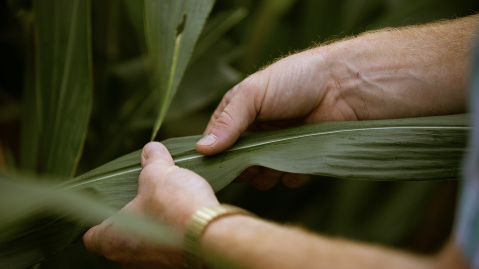 Benefits of Extractor Tissue Sampling