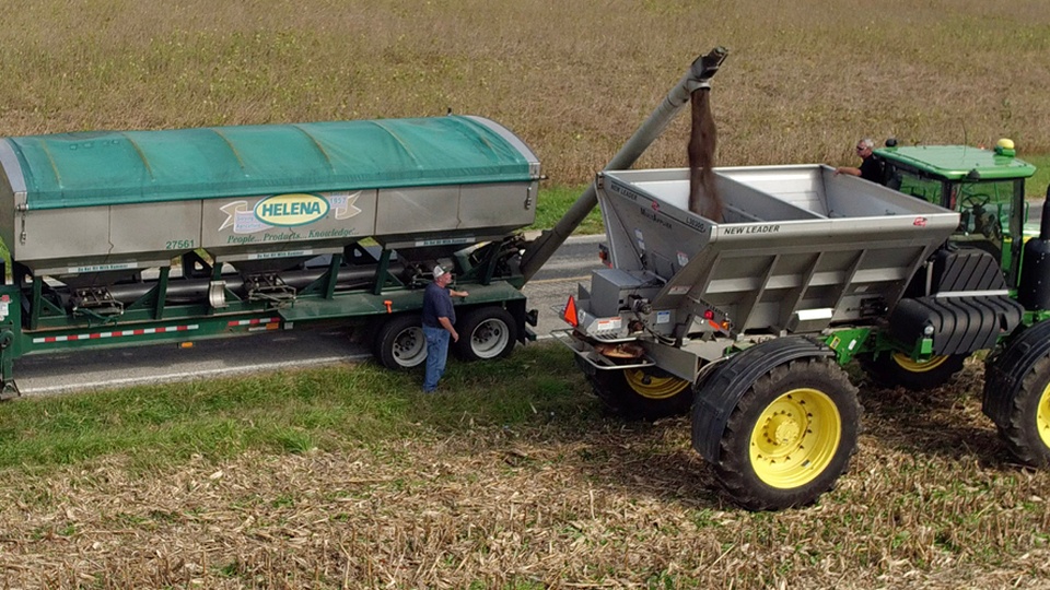 Balancing Nutritional Needs with Crop Input Prices