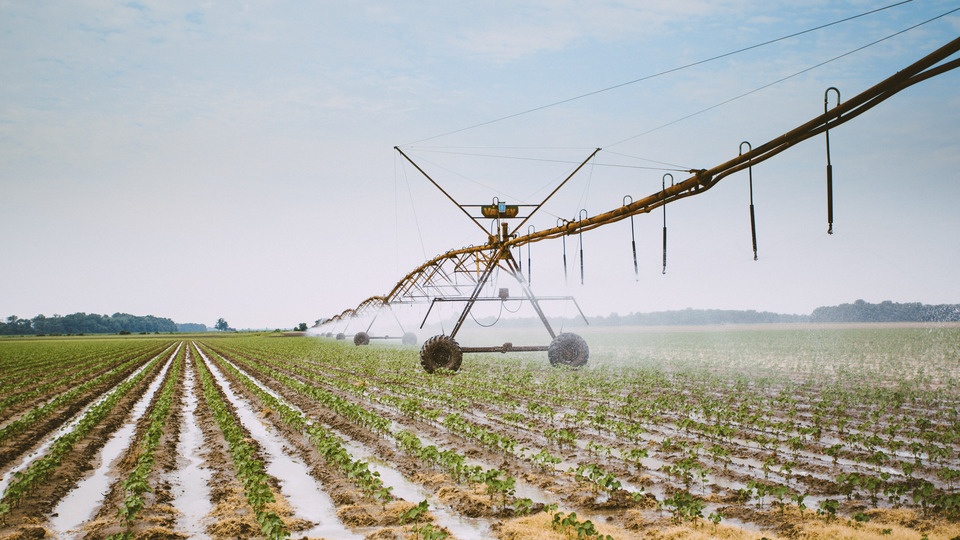 What’s In Your Water?