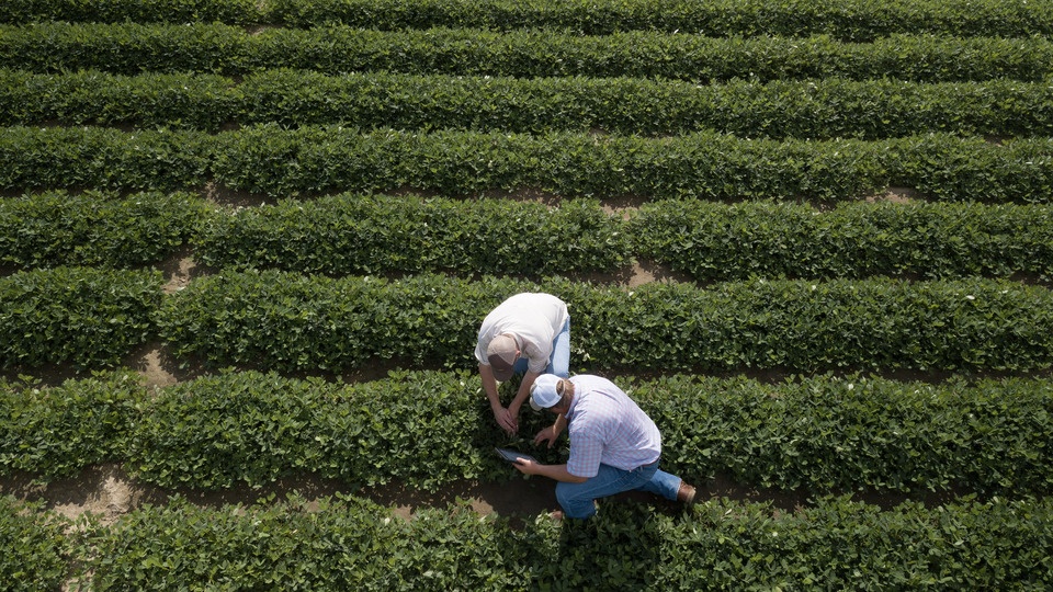 Rethinking Weed Control in 2022