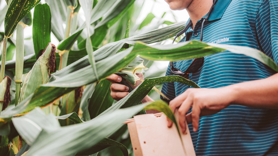 Benefits of Slice Tissue Sampling