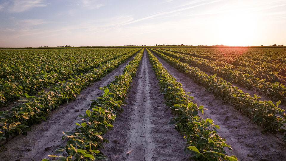 Inside Every Successful Tank Mix, There's An Adjuvant