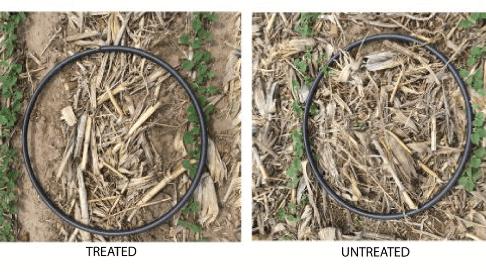 Understanding Crop Residue Decomposition