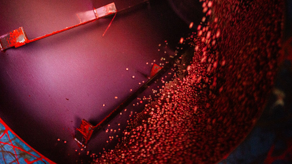 Early Season — Setting the Stage for Soybeans