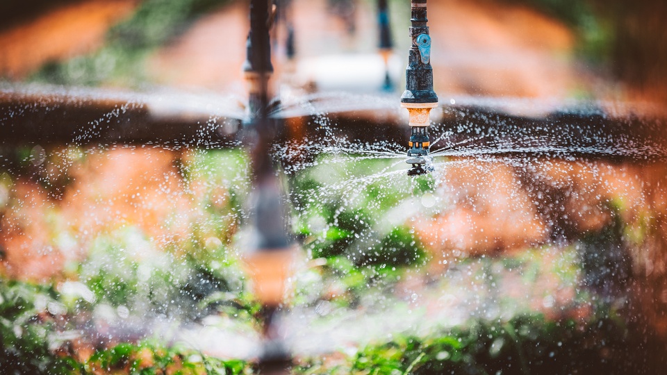 Water Quality and Your Bottom Line