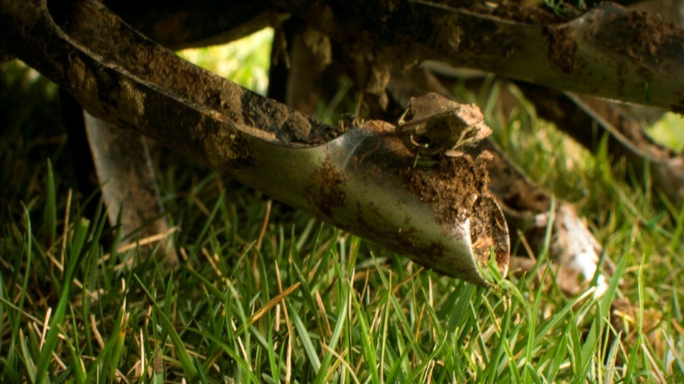 Core Aeration: Let Your Turf Breathe Deep