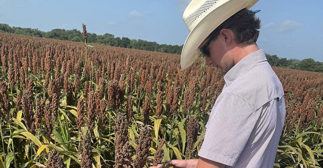 Mayes Prescott, a MSU junior, works at his Helena Agri-Enterprises internship in East Bernard, Texas.