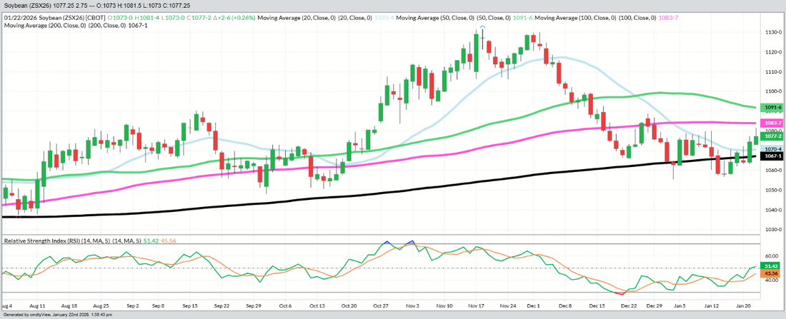 November Beans - Daily