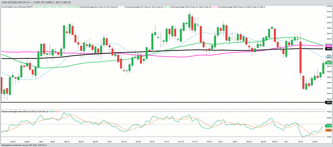 December 2026 Corn – Daily (Funds Short – 320 MBU)