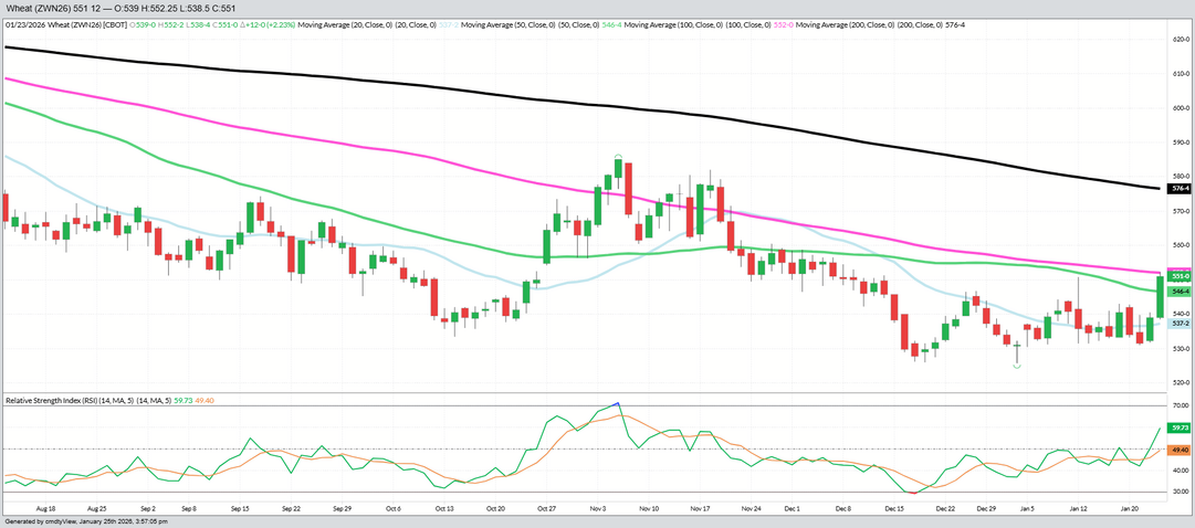 July 2026 Wheat – Daily (Funds Short – 500 MBU)