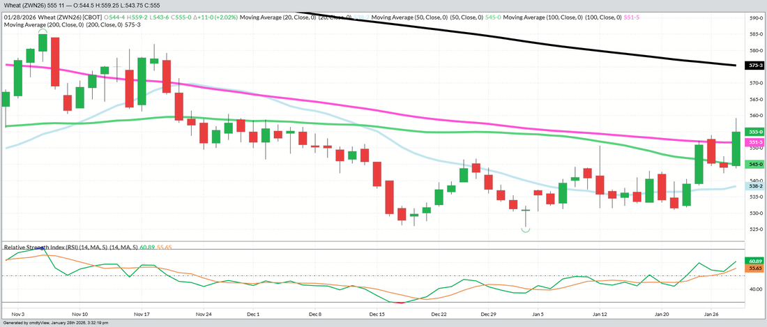 July Wheat – Daily