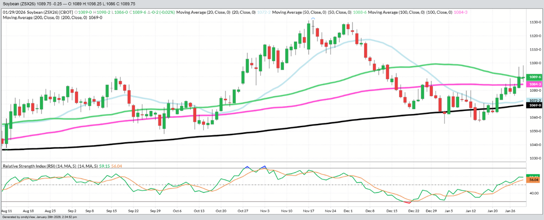 November Beans – Daily