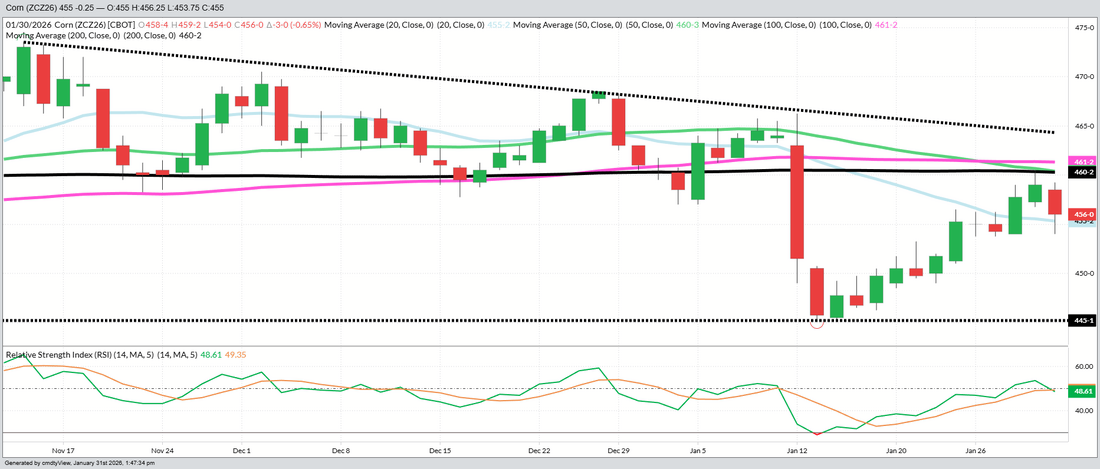 December 2026 Corn – Daily (Funds Short – 325 MBU)