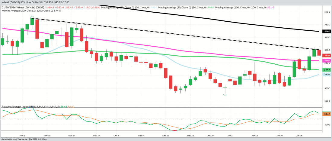 July 2026 Wheat – Daily (Funds Short – 525 MBU)