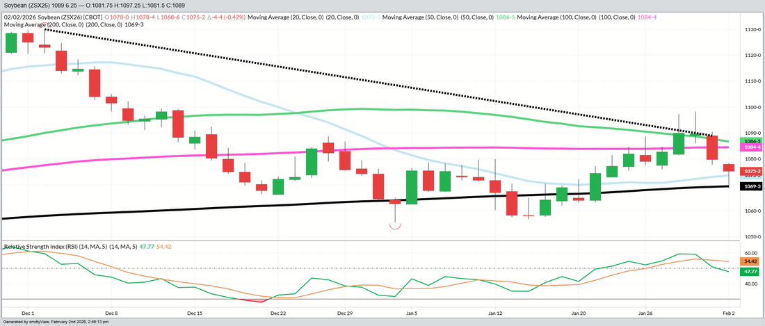 November Beans – Daily    (Funds short 100 MBU)