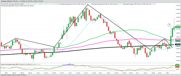 March 2026 Beans – Daily