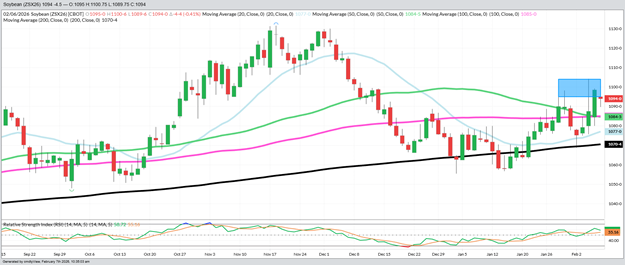 November 2026 Beans – Daily