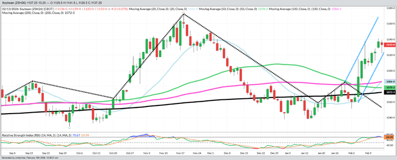 March 2026 Beans – Daily
