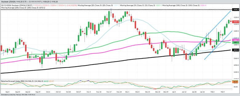 November 2026 Beans – Daily