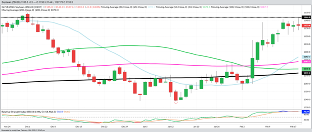 March Beans – Daily