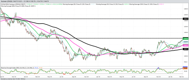 November Beans - Daily