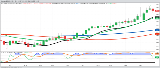 November Beans – Daily