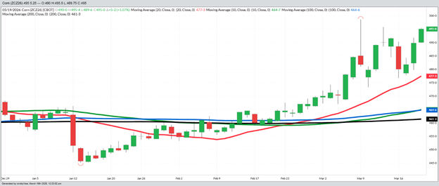 December Corn - Daily