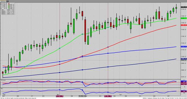 November Beans – Daily