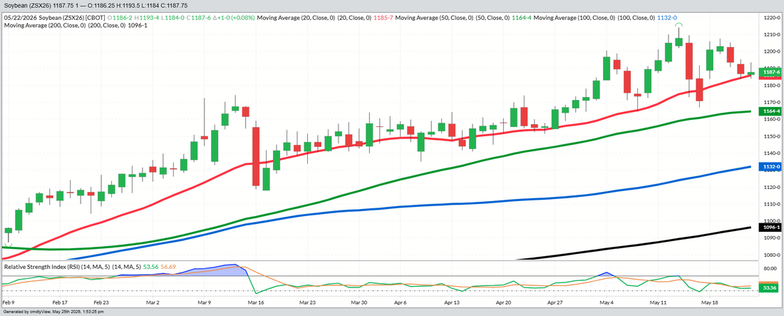 November Beans – Daily
