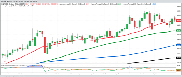 November Beans – Daily