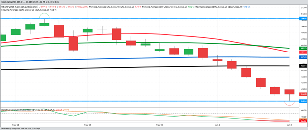 July Corn - Daily
