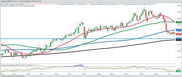 November Beans – Daily