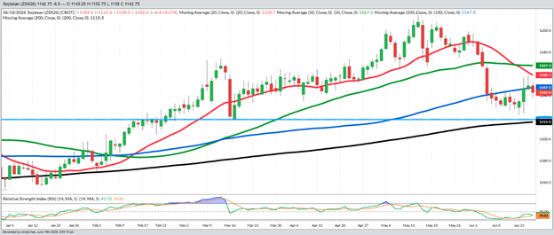 November Beans – Daily