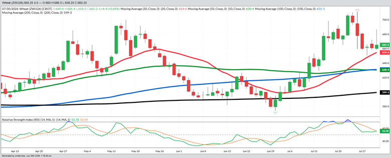 September Wheat – Daily