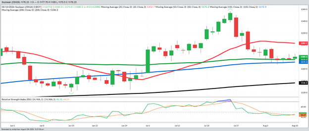 November Beans – Daily
