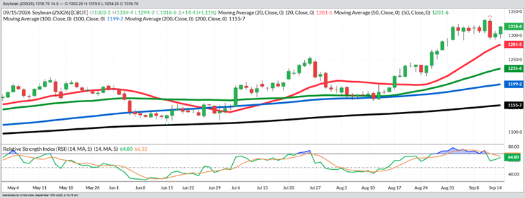 November Beans – Daily