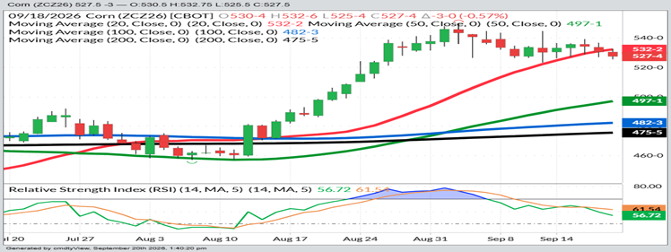 December Corn – Daily