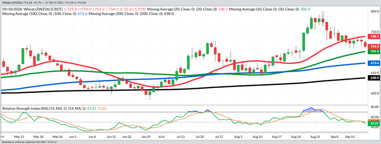 December Wheat - Daily