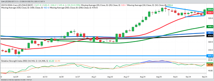December Corn – Daily