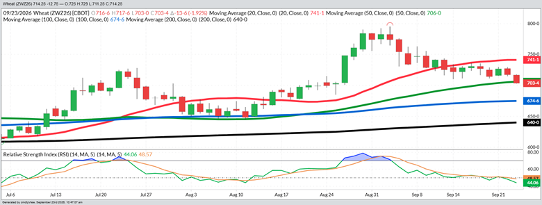 December Wheat - Daily