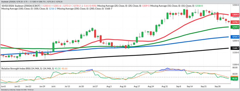 November Beans – Daily