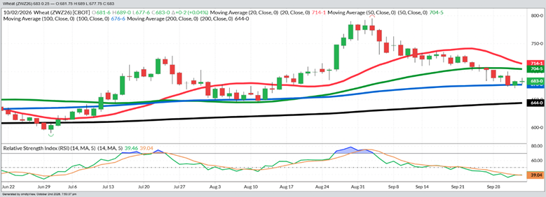 December Wheat - Daily