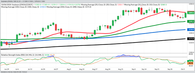 November Beans – Daily
