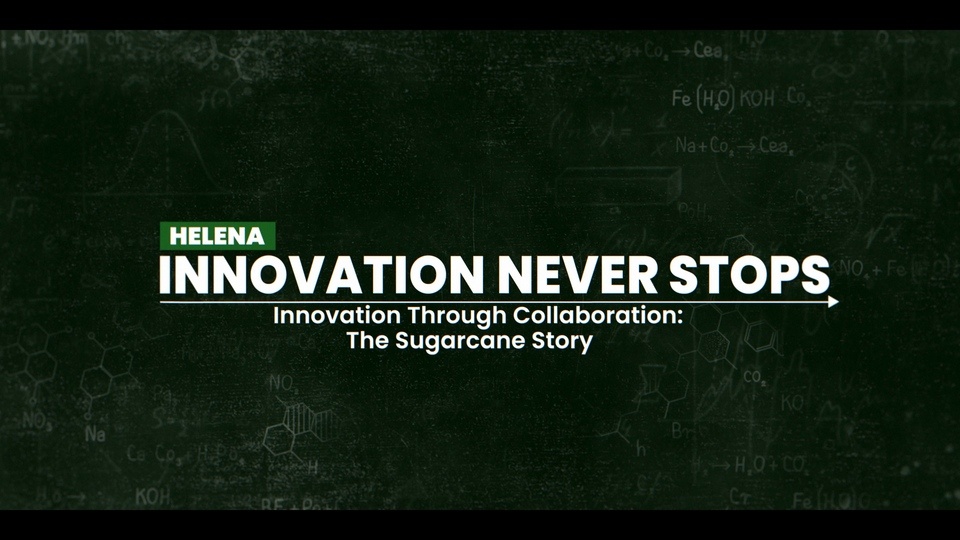 Innovation Through Collaboration: The Sugarcane Story