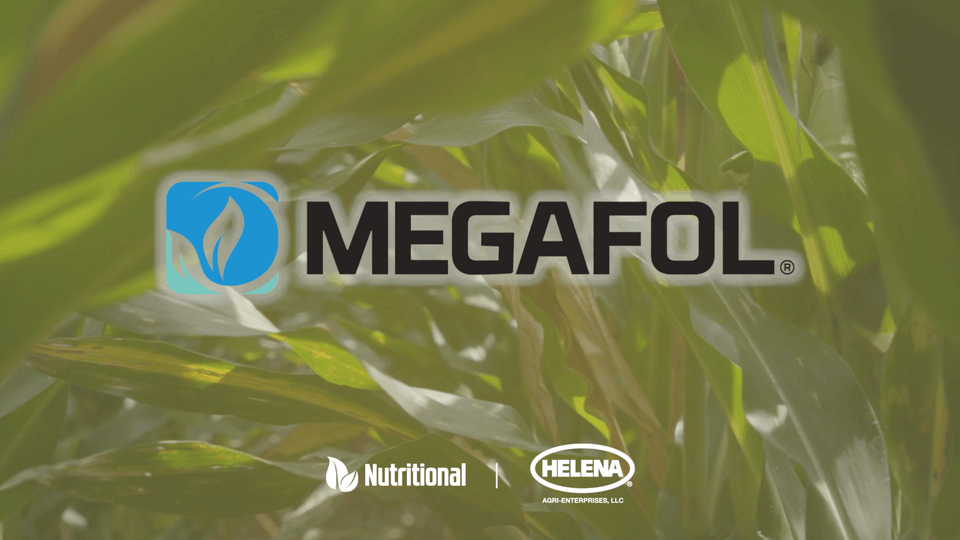 Megafol