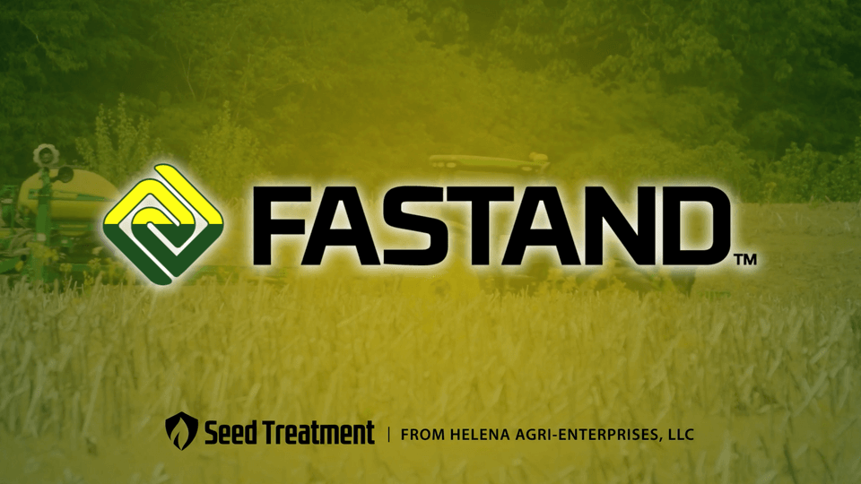 Fastand