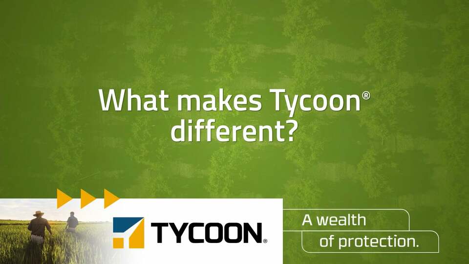 Tycoon