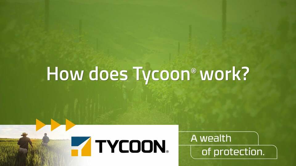 Tycoon