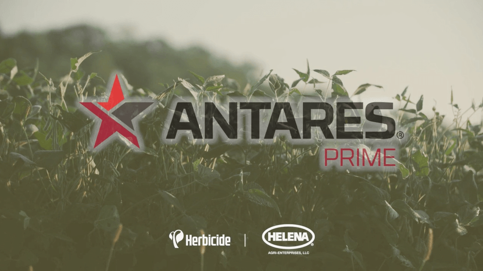 Antares Prime