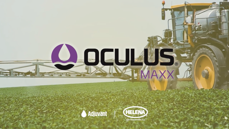 Oculus Maxx